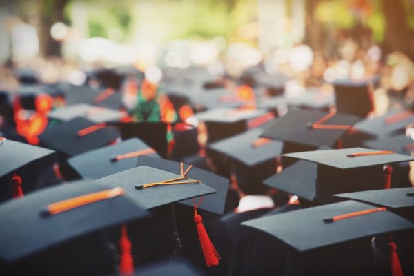 Courses & Certifications